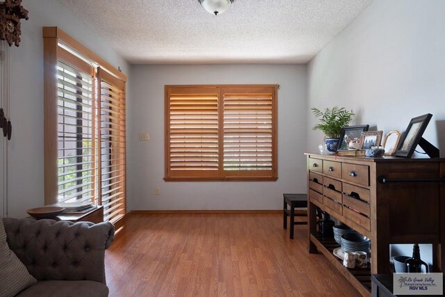 1675 Chipinque Dr, Brownsville, TX 78526 - sitting room featuring healthy amount of natural light, wood finished floors, baseboards, and a textured ceiling