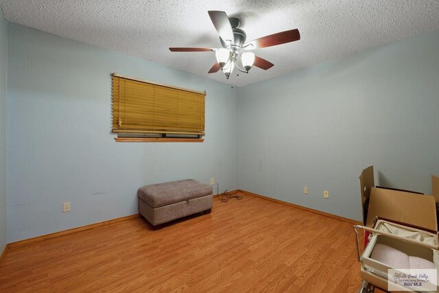 1675 Chipinque Dr, Brownsville, TX 78526 - unfurnished office with a ceiling fan, light wood-style flooring, a textured ceiling, and baseboards