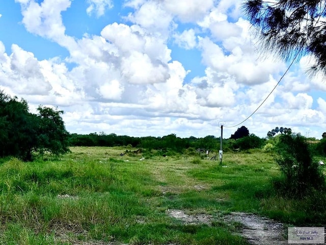 view of local wilderness with a rural view