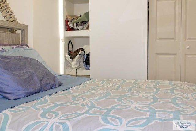 3512 Westcreek Dr, Brownsville, TX 78526 - bedroom with a closet