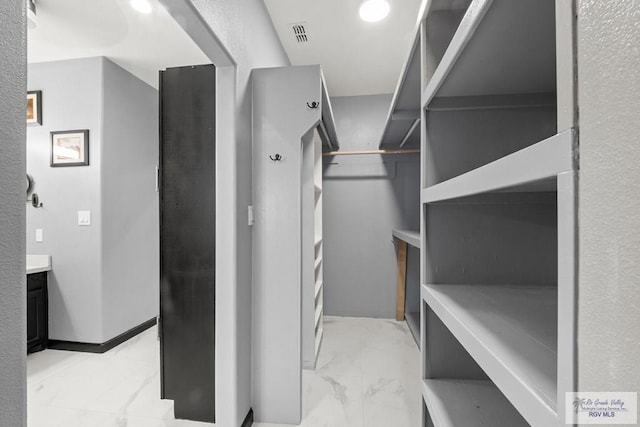 6948 Wild Olive Ln, Brownsville, TX 78526 - view of spacious closet