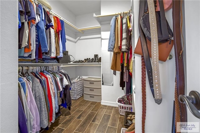 view of spacious closet