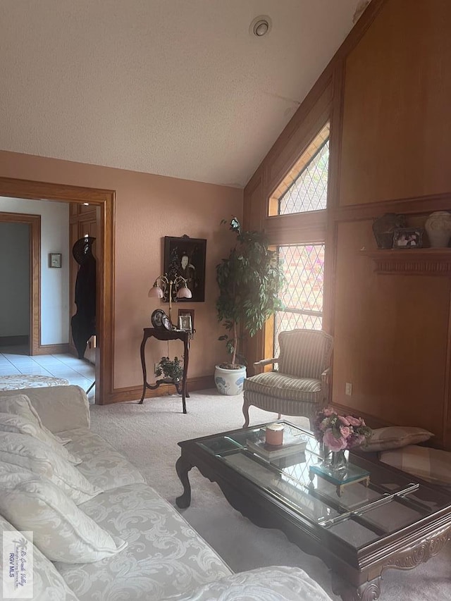 635 S San Marcelo Blvd, Brownsville, TX 78526 - living room with lofted ceiling, a textured ceiling, and light carpet