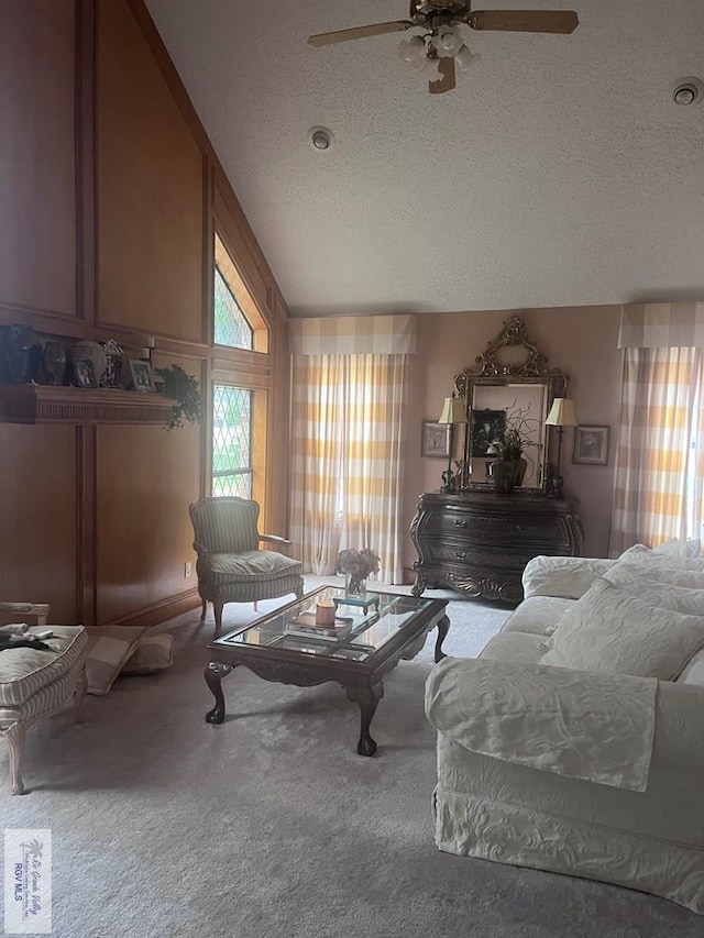 635 S San Marcelo Blvd, Brownsville, TX 78526 - living room with ceiling fan, a textured ceiling, carpet floors, and lofted ceiling