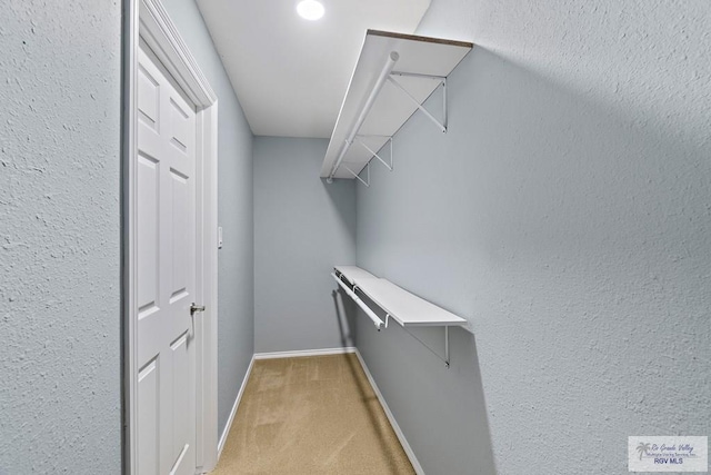 27859 Mile 3, La Feria, TX 78559 - spacious closet with light carpet