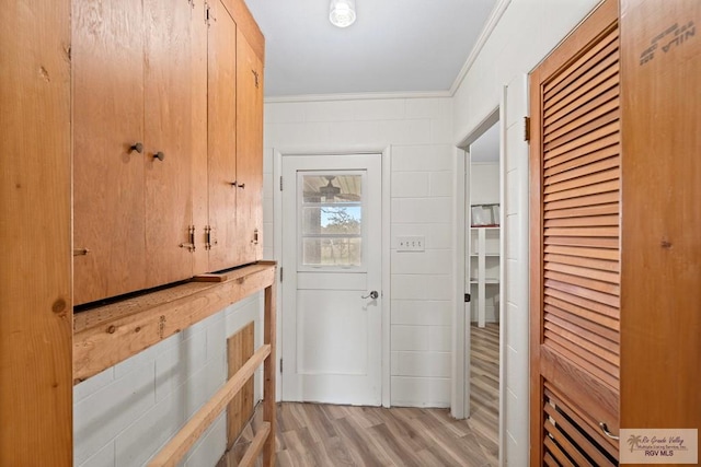 hallway with light wood-type flooring and ornamental molding