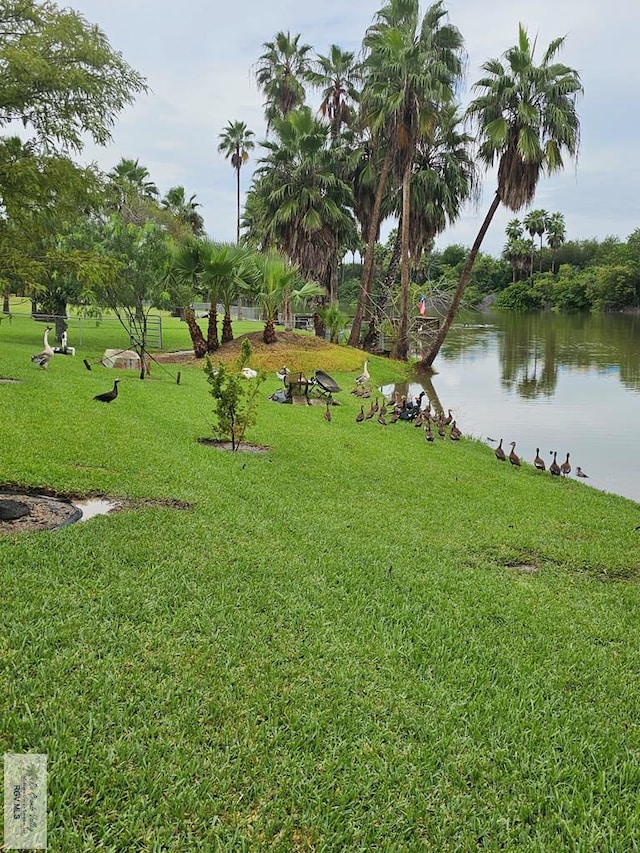 view of property's community with a water view and a yard