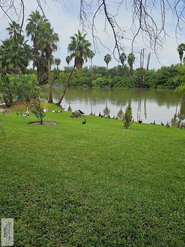 view of water feature