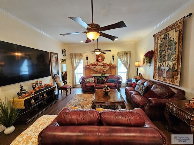 living room with ceiling fan, crown molding, and dark wood-type flooring