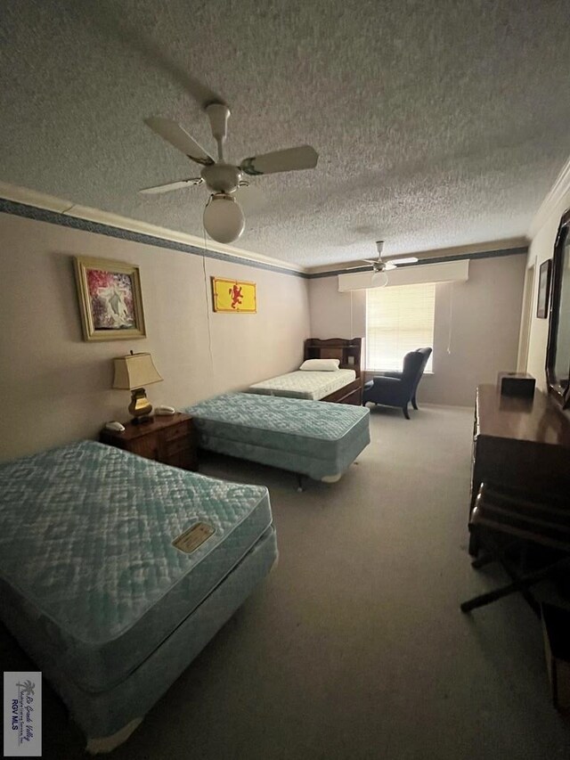 35 Alvarado Ave, Rancho Viejo, TX 78575 - carpeted bedroom with crown molding, a textured ceiling, and ceiling fan