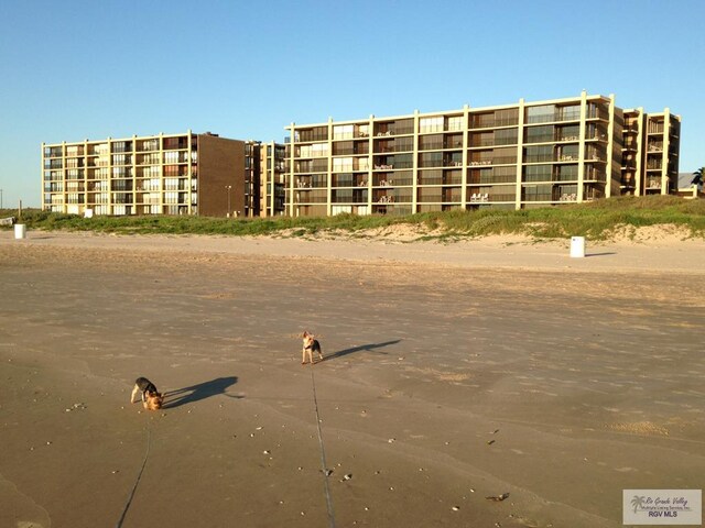 110 Padre Blvd Unit 407, South Padre Island, TX 78597 - water view