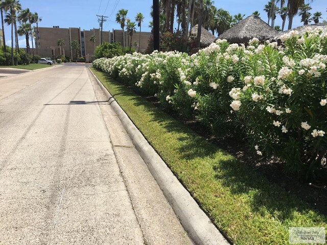 110 Padre Blvd Unit 407, South Padre Island, TX 78597 - view of street featuring curbs
