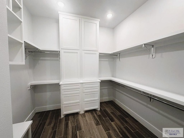 spacious closet featuring wood tiled floor