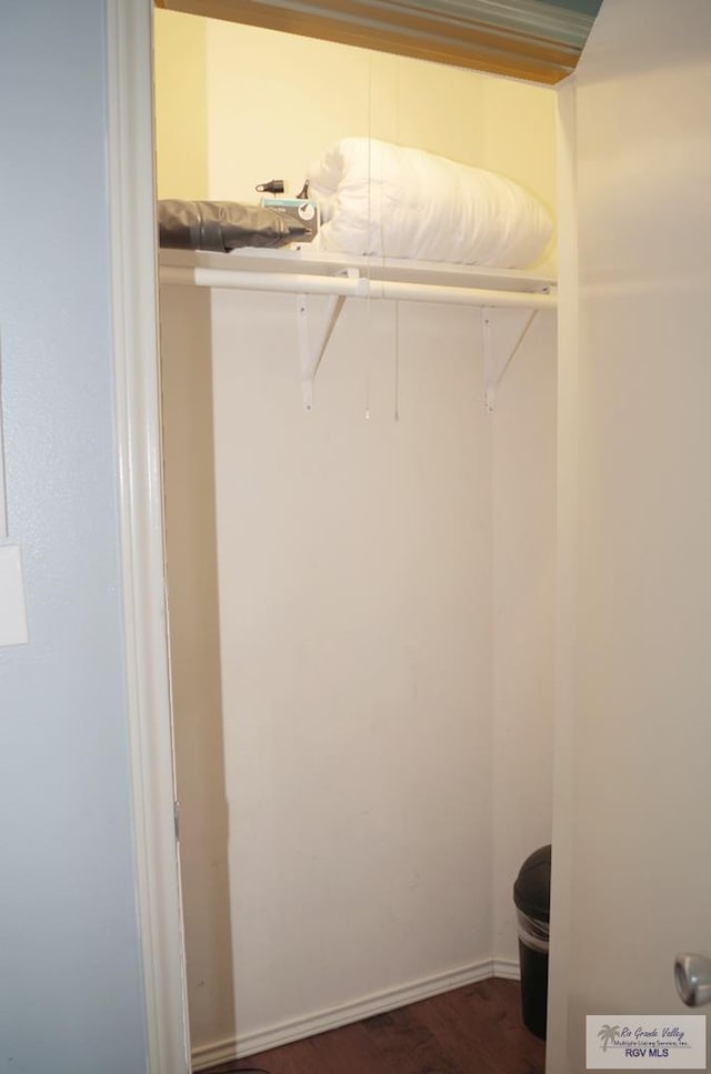 view of closet