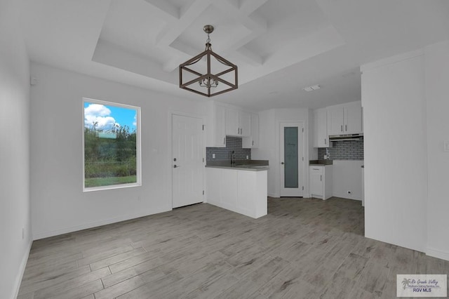 kitchen with white cabinets, decorative backsplash, light hardwood / wood-style floors, and a tray ceiling