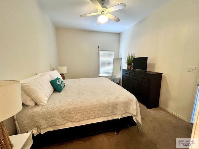 77 Santa Isabel Blvd Unit K 6, Laguna Vista, TX 78578 - bedroom featuring carpet floors and ceiling fan