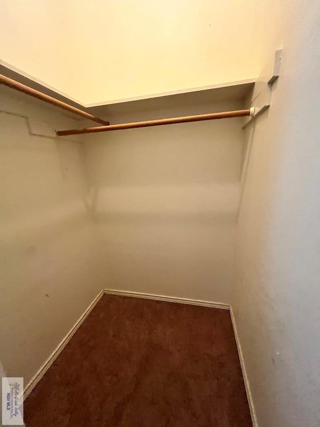 77 Santa Isabel Blvd Unit K 6, Laguna Vista, TX 78578 - spacious closet featuring carpet floors
