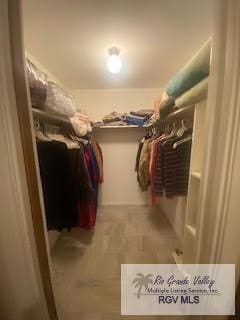 spacious closet featuring carpet flooring