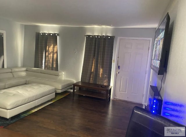 living room featuring hardwood / wood-style flooring