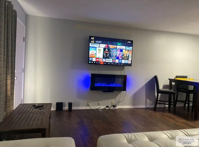 living room featuring hardwood / wood-style floors