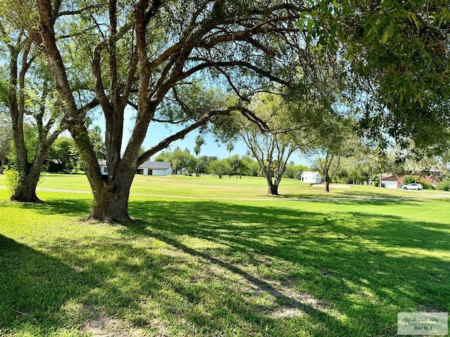 view of community with a yard