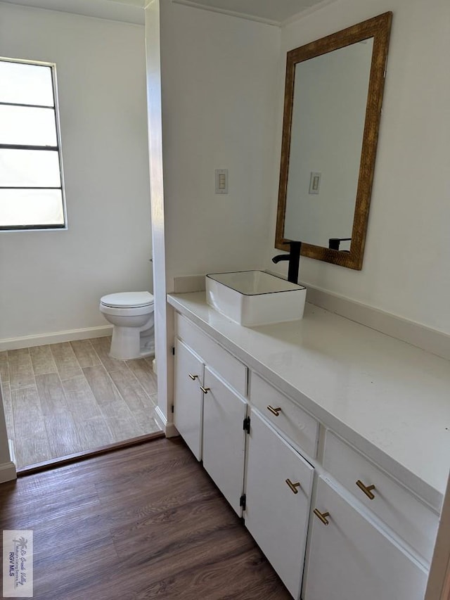 bathroom featuring vanity, toilet, and wood-type flooring