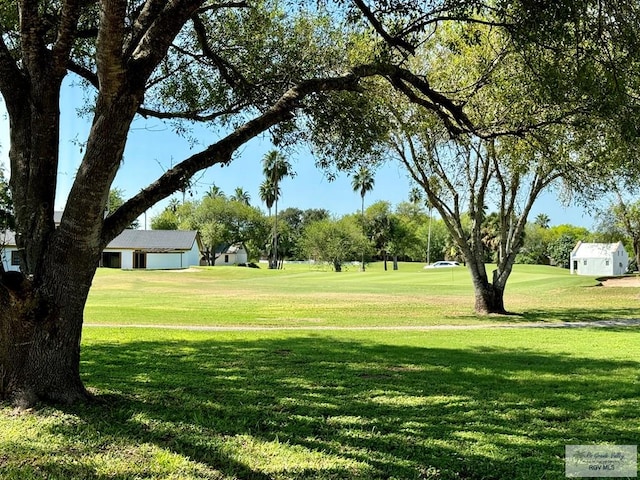 view of community with a lawn