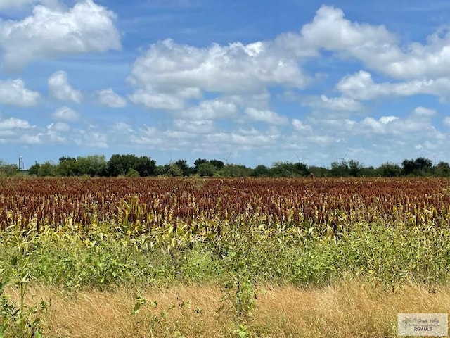 25ACRES Brown Tract Rd, Lozano, TX 78586 - photo 4