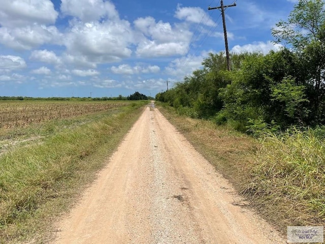 25ACRES Brown Tract Rd, Lozano, TX 78586 - photo 6