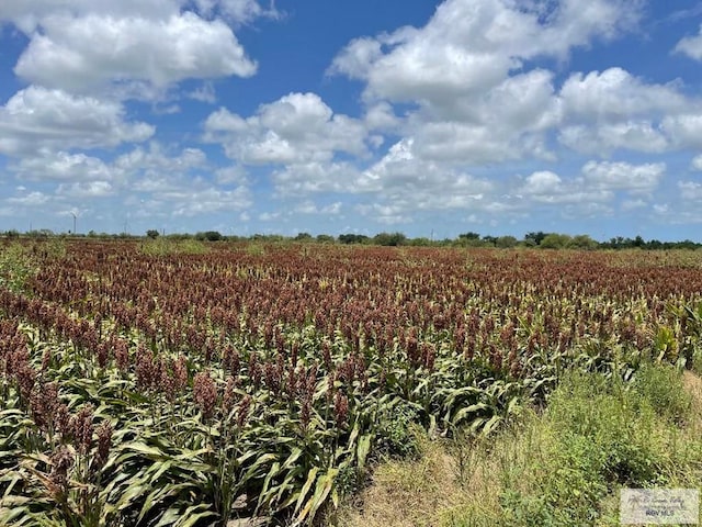 25ACRES Brown Tract Rd, Lozano, TX 78586 - photo 2