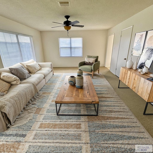 3421 Brasilia Dr, Brownsville, TX 78526 - photo 3