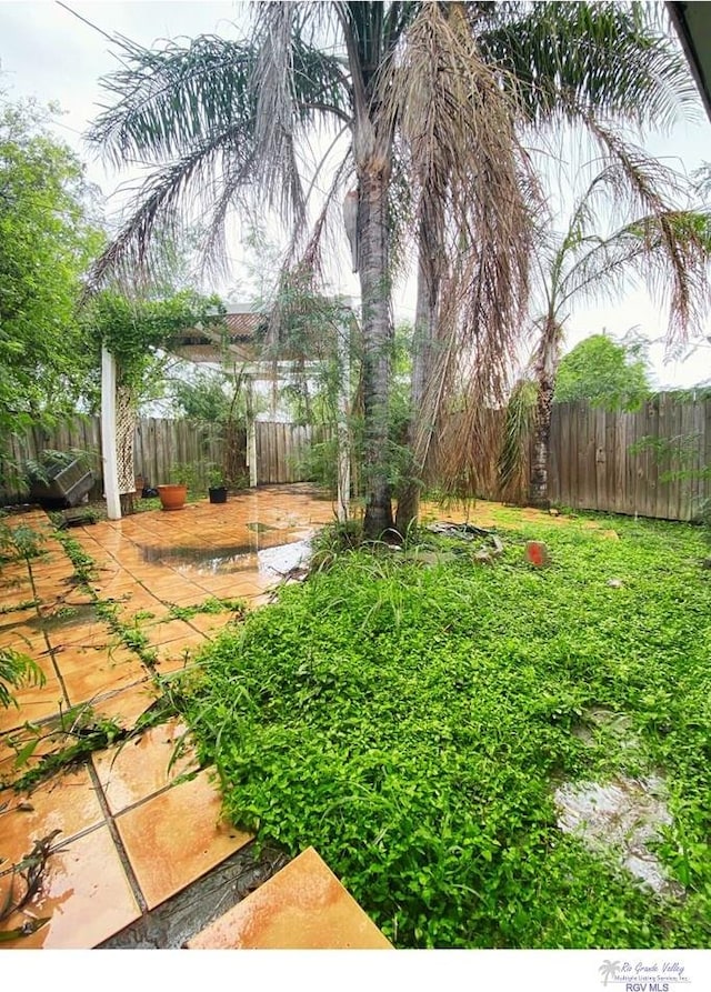 view of yard with a patio area