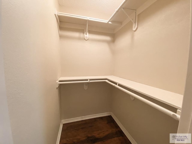 spacious closet with hardwood / wood-style flooring