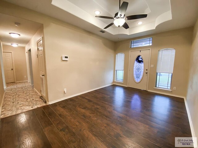 foyer entrance with a tray ceiling, ceiling fan, a healthy amount of sunlight, and hardwood / wood-style flooring