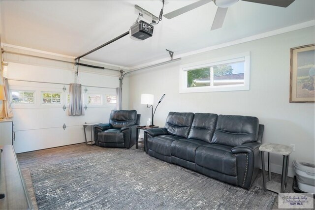 living room with dark hardwood / wood-style floors and ceiling fan