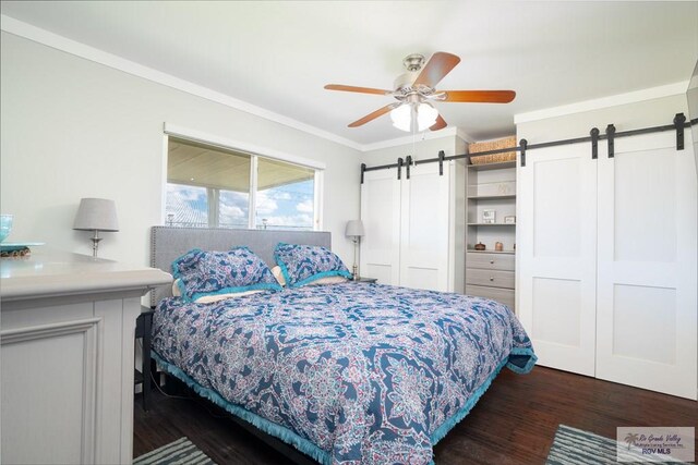 bedroom with ceiling fan, a barn door, dark hardwood / wood-style floors, and a closet