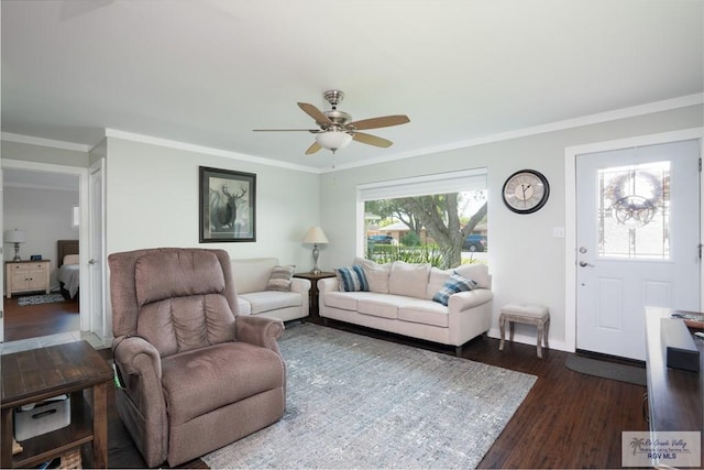 living room featuring ceiling fan, dark hardwood / wood-style flooring, and crown molding