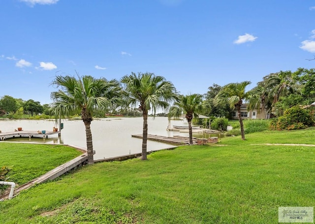 view of home's community with a yard and a dock