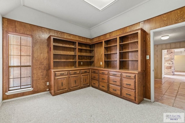 interior space with light colored carpet