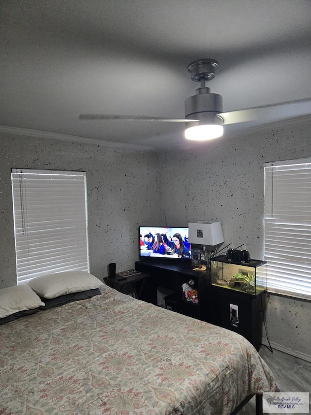 384 Colorado Dr, San Benito, TX 78586 - bedroom with a ceiling fan, wood finished floors, and baseboards