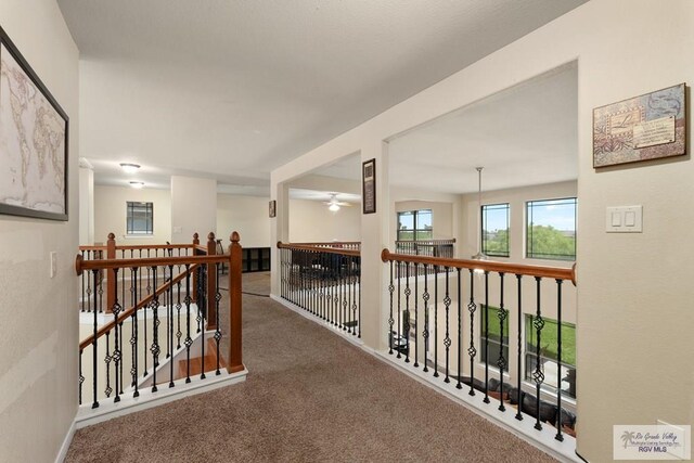4230 Stillwater Cv, Edinburg, TX 78542 - photo 34