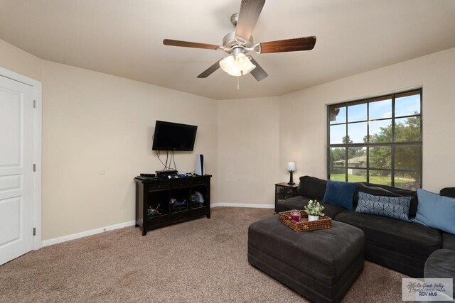 4230 Stillwater Cv, Edinburg, TX 78542 - photo 48
