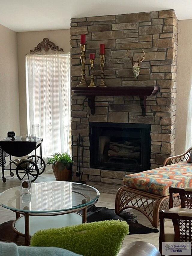 living room featuring a fireplace and hardwood / wood-style floors