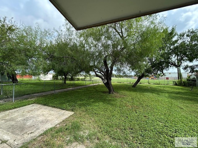 2301 E Monroe St, Harlingen, TX 78550 - view of yard