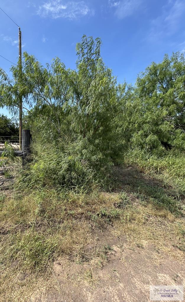 36661 Perez Rd, Bayview, TX 78566