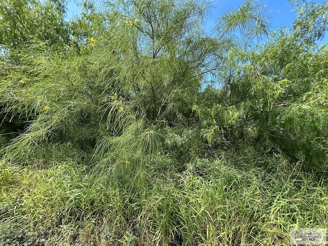 36661 Perez Rd, Bayview, TX 78566