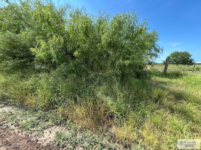 36661 Perez Rd, Bayview, TX 78566