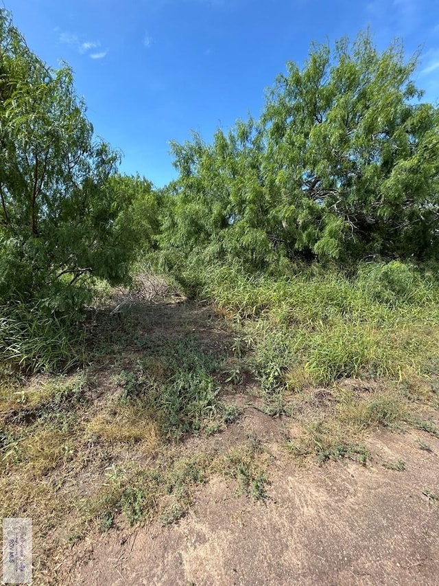 36661 Perez Rd, Bayview, TX 78566