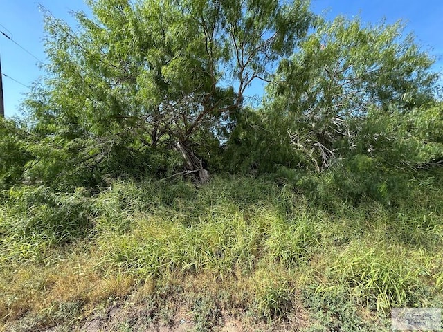 36661 Perez Rd, Bayview, TX 78566