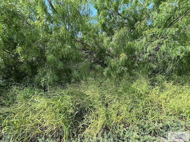 36661 Perez Rd, Bayview, TX 78566